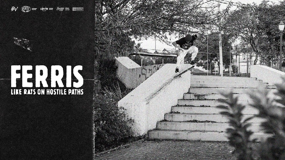 maxresdefault (10).jpg